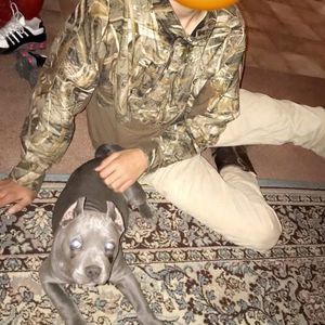 Meet your Posher, Zachary